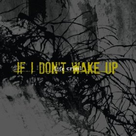 Life Cried: IF I DON'T WAKE UP