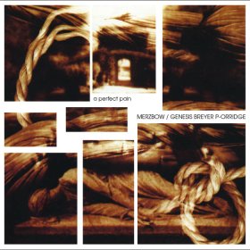 Merzbow & Genesis P. Orridge: PERFECT PAIN, A CD