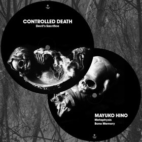 Controlled Death/Mayuko Hino: SPLIT (PICTURE DISC) VINYL LP