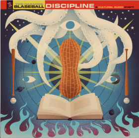 Garages, The: BLASEBALL: DISCIPLINE (MARBLED) VINYL 2XLP