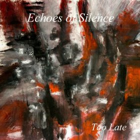 Echoes Of Silence: TOO LATE CD