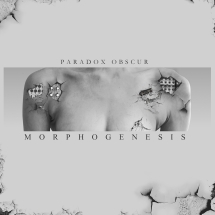 Paradox Obscur: MORPHOGENESIS (LIMITED) VINYL LP